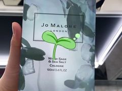 -米兰马尔彭萨国际机场