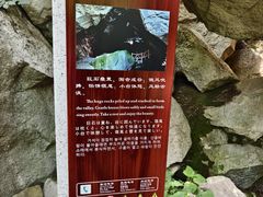 -秦岭终南山世界地质公园翠华山景区