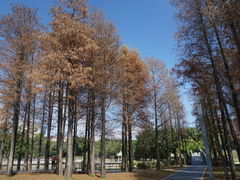 -四海公园(南山区)