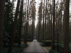 怡沁园度假村-上海怡沁园度假酒店