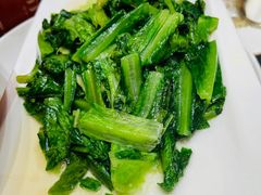 -乐和餐饮(活力源店)