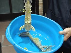 -凤城礼记鱼翅海鲜酒家(新马路总店)