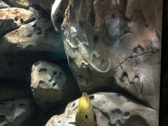 -锦艺城海洋馆