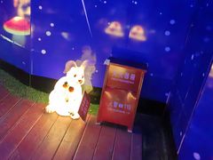 -萌宠奇缘(荣鼎店)