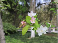 -杭州城北体育公园