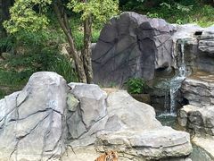 -宁波野生动物园