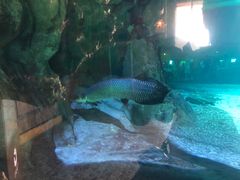 -华夏文旅海洋公园