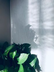-尚艺造型.剪烫染.接发