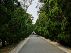 -八大关景区