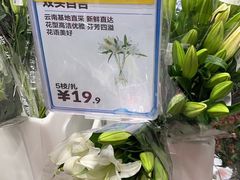 -盒马X会员店(上海森兰商都店)