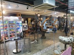 -more than meow吴止猫主题餐厅(承德 中船汇店)