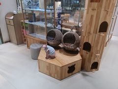 -藏猫猫咖啡主题馆(中央大道店)