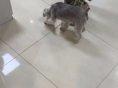-美联众合动物医院·24h京西诊疗中心