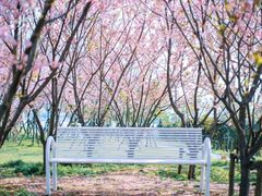 -福建鲤鱼洲酒店