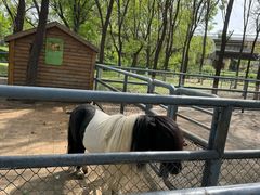 -长白岛森林公园