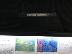 -同济大学四平路校区深海探索馆