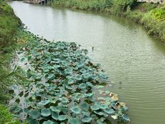 -枫香湖儿童公园