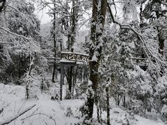 -龙苍沟森林公园