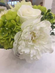-MIDA蜜哒•科技逆龄美肤连锁