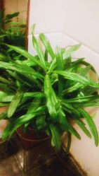 -本真坊美容美体沙龙