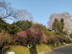 -玄武湖景区-情侣园游乐场