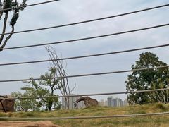 -武汉园博园(武汉自然博物馆)