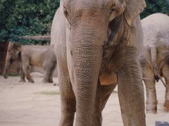 -杭州野生动物世界