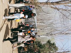 -长白岛森林公园