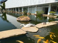 -罗红摄影艺术馆