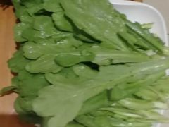 茼蒿-福寿斋·老北京铜锅涮肉·烤鸭(顺义总店)