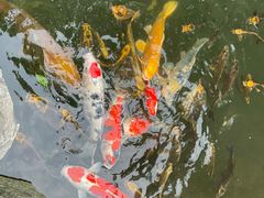 -新荣记(西溪湿地店)