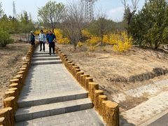 -白水寺森林公园