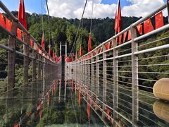 -九龙江国家森林公园