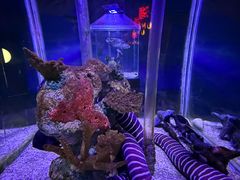 -太平洋海底世界