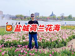 -荷兰花海