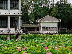 -荔湾湖公园