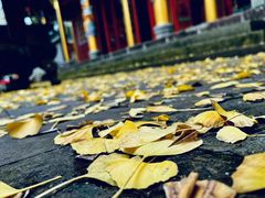 -金堂县云顶石城风景区