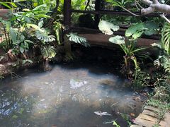 -海南热带野生动植物园