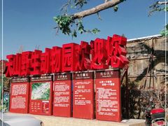 -新疆天山野生动物园