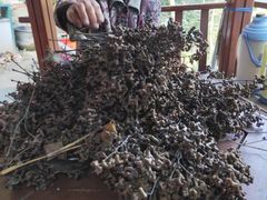 -终南山国家森林公园