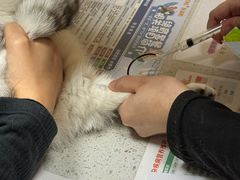 -德元·美联众合24小时动物医院(总院)