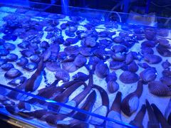 -十六蒲(桂林路店)