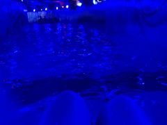 -青岛东方影都融创水世界