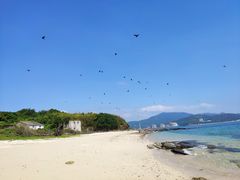-东平洲海岸公园