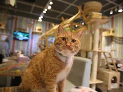 -小时光咖啡馆(开森度假森林店)
