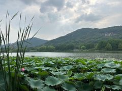 -长广溪湿地公园