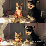 给自己的宠宝过个生日吧 我家的狗主子是个雪纳瑞