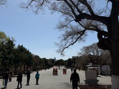 -北陵公园