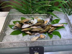 -冀粤香海鲜自助餐厅(西美五洲店)
