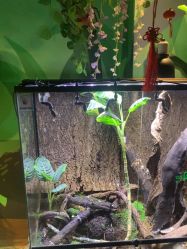 -酷嗒动物文化乐园(cutezoo西溪乐天城店)